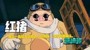网红猪日常,萌态百出，圈粉无数