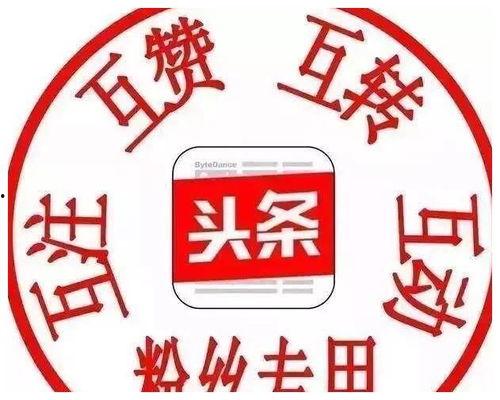 头条粉丝不过千能带货嘛,如何实现带货奇迹？”