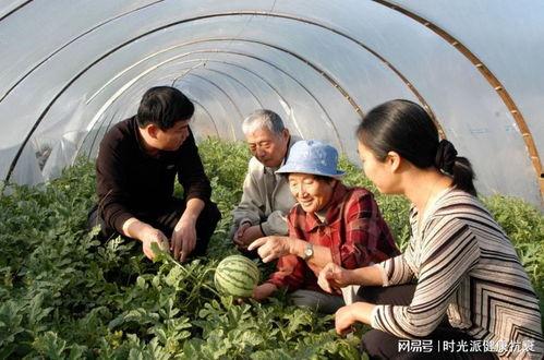 临沧边境大妈吃瓜事件,一场意外的网络事件