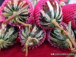 吃瓜章丘,吃瓜群众的美食之旅