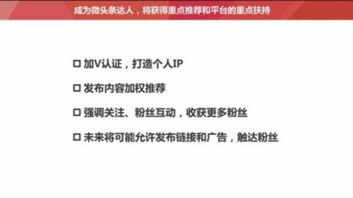 头条推荐的视频怎么发,副标题撰写技巧解析