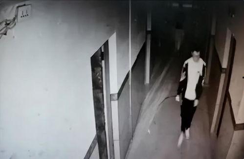 网友爆料胡鑫宇最新消息