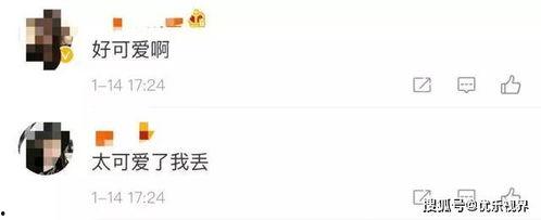 微信搜什么吃瓜,揭秘微信搜“吃瓜”背后的热门话题与趣味事件