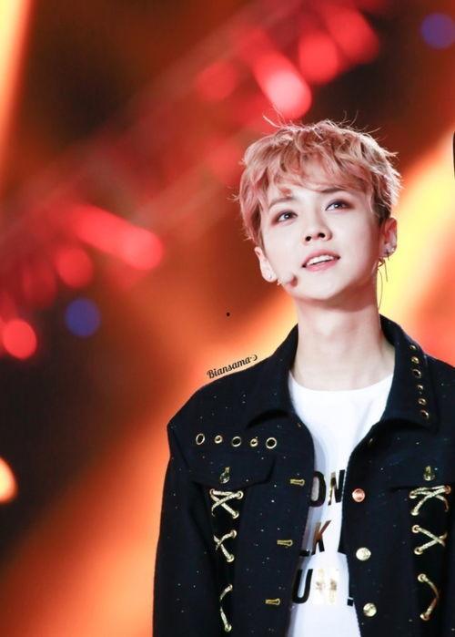 大明星鹿晗图片,光影瞬间捕捉偶像风采