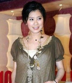 明星被偷拍贾静雯,明星隐私权的坚守与反思