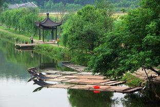 丽水龙泉谢明星,龙泉丽水璀璨之星