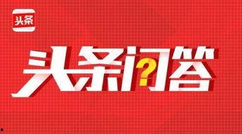 在头条问答码字的日常,头条问答中的智慧火花