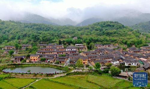 河南新县青山镇新闻头条,聚焦乡村振兴，共绘美好家园新画卷